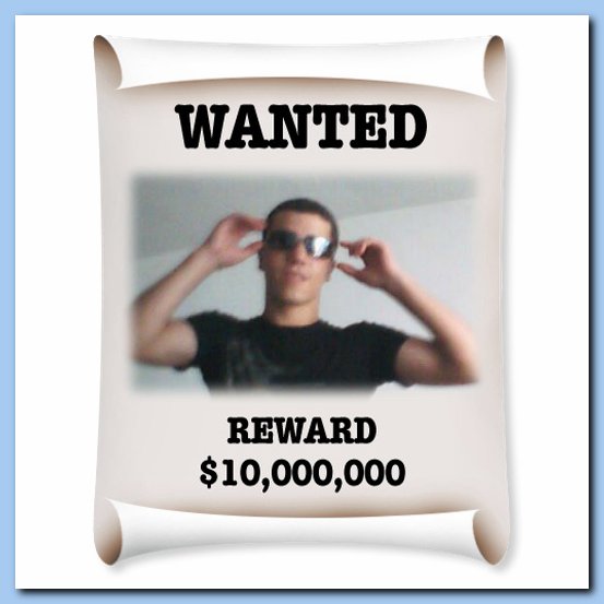 Reward wanted